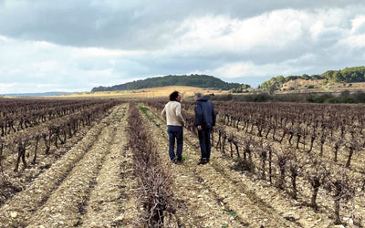 Pugibet & Wulfken - Die Leichtigkeit des Seins  |  Languedoc