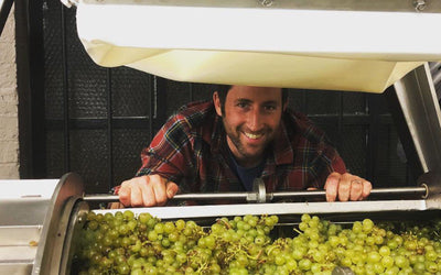 Weingut Bürgermeister Carl Koch | Rheinhessen