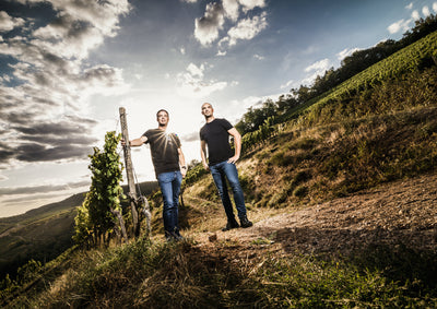 Weingut Bischel Weine
