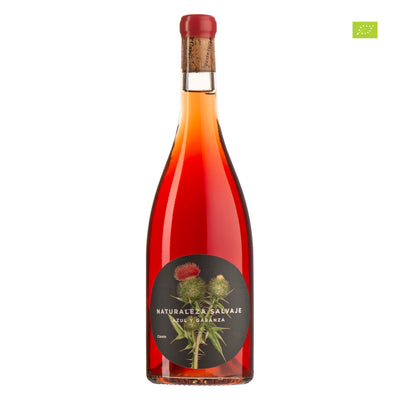 Naturwein, Orange, Pet Nat & Co.